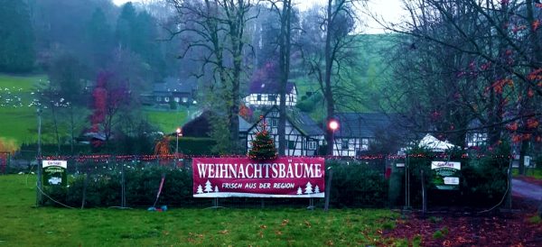 Weihnachtsbaumverkauf-Gut-Schiff-Bergisch-Gladbach-Herrenstrunden
