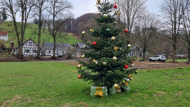 GutSchiff-Tombola122025 (8)